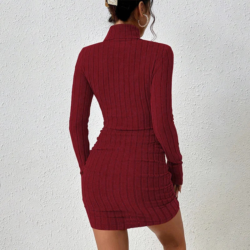 Autumn Winter Sexy Dresses Women New Fashion Long Sleeves Turtleneck Streetwear Sexy Mini Dress Casual Slim Elegant Lady Dresses