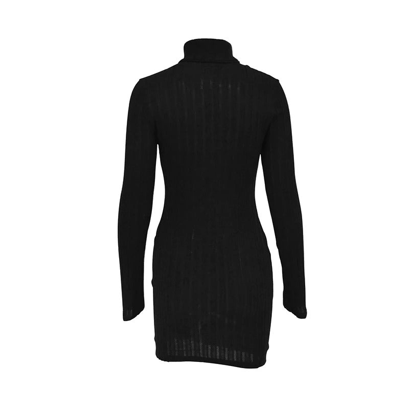 Autumn Winter Sexy Dresses Women New Fashion Long Sleeves Turtleneck Streetwear Sexy Mini Dress Casual Slim Elegant Lady Dresses