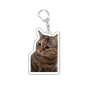 Funny Cat Memes Series Keychain Student Gift Bag Lanyard  Women's Bag Pendant Keychain Cute Things Cheap Gift For Best Friends