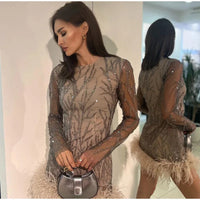 2024 New Feather Sequins Partywear Mini Dresses Women Elegant Mesh Sheer Sequined Long Sleeve Dress Lady Club Evening Vestidos