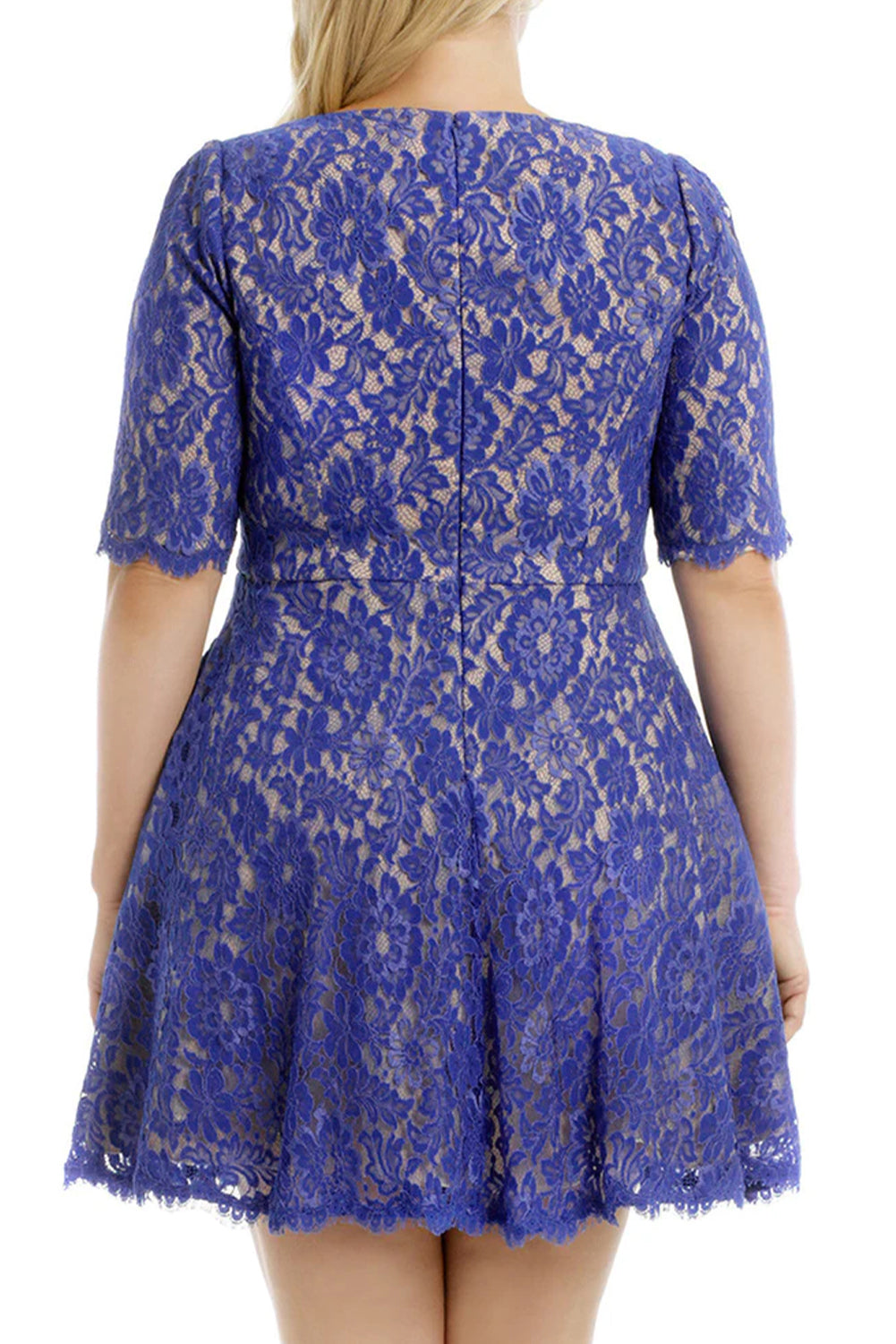 Blue Floral Lace Nude Illusion Plus Size Skater Dress