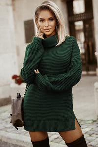 Sage Green Cozy Long Sleeves Turtleneck Sweater