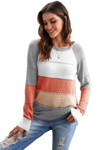 Wine Accent Knitted Color Block Long Sleeve Crew Neck Sweater