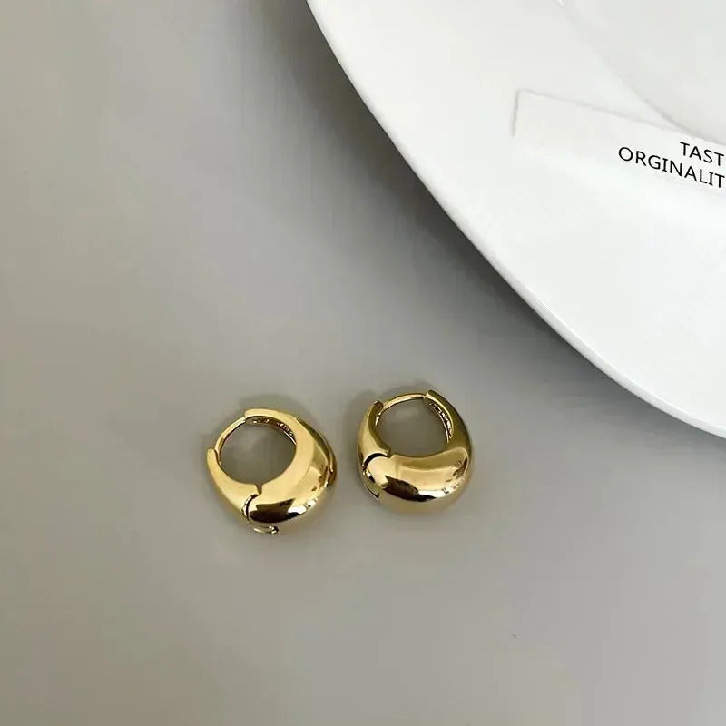 925 Sterling Silver Hot Sale Korean Geometric Hoop Earrings Simple Temperament Exquisite Hot Semale Sexy Jewelry Gift