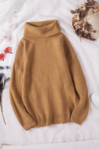 Sage Green Cozy Long Sleeves Turtleneck Sweater