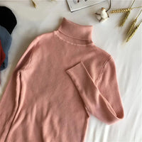 2024 Autumn Winter Thick Sweater Women Knitted Ribbed Pullover Sweater Long Sleeve Turtleneck Slim Jumper Soft Warm Pull Femme