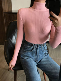 2024 Autumn Winter Thick Sweater Women Knitted Ribbed Pullover Sweater Long Sleeve Turtleneck Slim Jumper Soft Warm Pull Femme