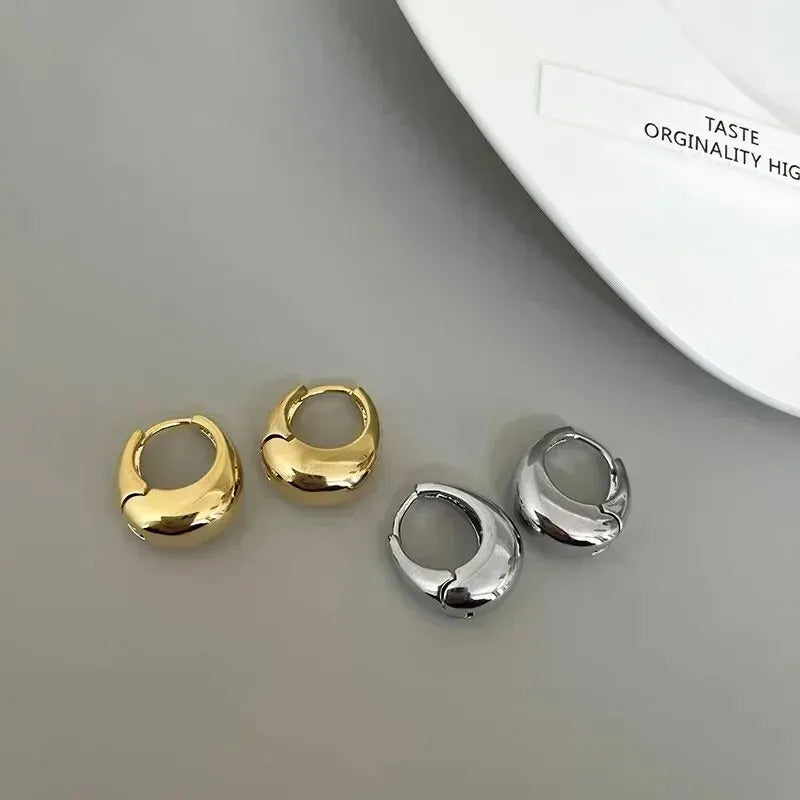 925 Sterling Silver Hot Sale Korean Geometric Hoop Earrings Simple Temperament Exquisite Hot Semale Sexy Jewelry Gift