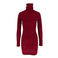 Autumn Winter Sexy Dresses Women New Fashion Long Sleeves Turtleneck Streetwear Sexy Mini Dress Casual Slim Elegant Lady Dresses