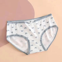 5pcs Heart Plaid Print Briefs Comfy Cute Bow Intimates Panties Women's Lingerie Underwear