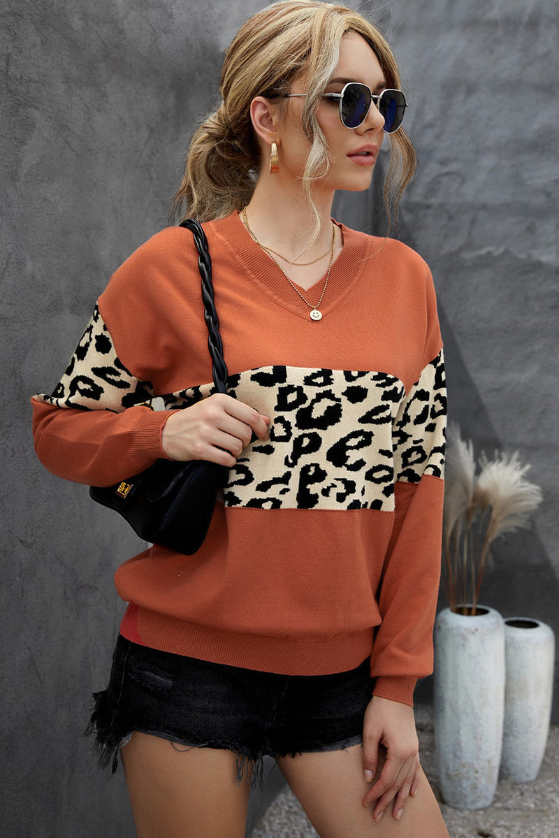 Black Leopard Colorblock V Neck Knit Sweater