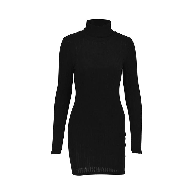 Autumn Winter Sexy Dresses Women New Fashion Long Sleeves Turtleneck Streetwear Sexy Mini Dress Casual Slim Elegant Lady Dresses