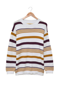 Brown Striped Crewneck Long Sleeve Sweater