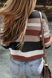 Taupe Classic Round Neck Colorblock Knit Sweater