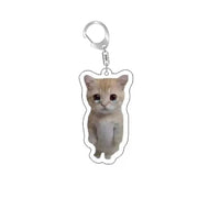 Funny Cat Memes Series Keychain Student Gift Bag Lanyard  Women's Bag Pendant Keychain Cute Things Cheap Gift For Best Friends