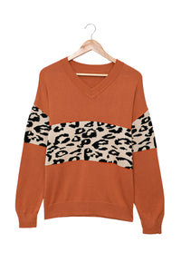 Black Leopard Colorblock V Neck Knit Sweater