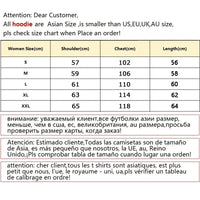 Hollow Knight Hoodies Men Korea Ulzzang Grunge Y2k Aesthetic Fmale Autumn and Winter Pullover Hoddies Graphic Streetwear