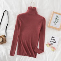 Turtleneck Sweater Women Knitted Soft Pullovers cashmere Jumpers Basic Solid Soft Sweaters Women Autumn Winter Casual Top