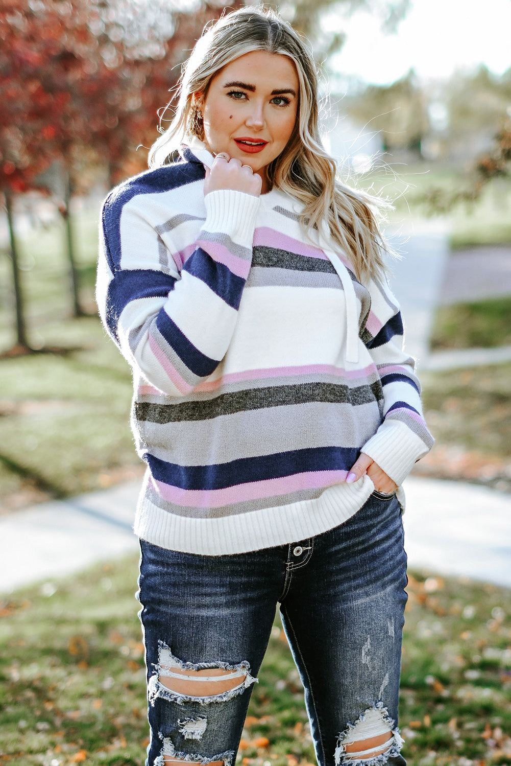 Stripe Plus Size Striped Hooded Knit Sweater