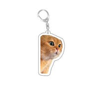 Funny Cat Memes Series Keychain Student Gift Bag Lanyard  Women's Bag Pendant Keychain Cute Things Cheap Gift For Best Friends