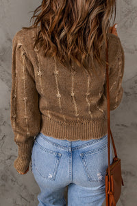 Brown Long Sleeve O-neck Knitted Sweater