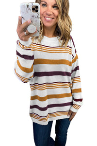 Brown Striped Crewneck Long Sleeve Sweater