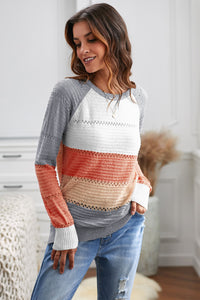 Wine Accent Knitted Color Block Long Sleeve Crew Neck Sweater