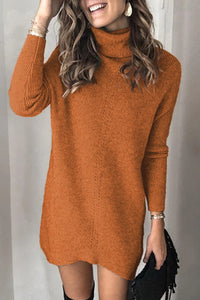 Udressshop Turtleneck Long Sleeve Knitted Winter Sweater Dress