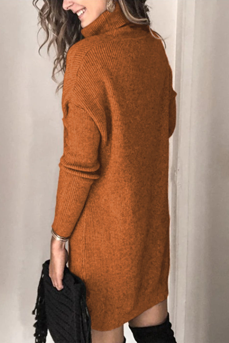 Udressshop Turtleneck Long Sleeve Knitted Winter Sweater Dress