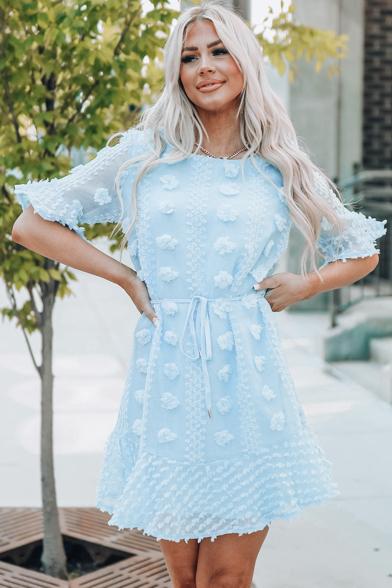 Udressshop Crew Neck Swiss Dot Mini Dress