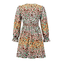 Women's V-Neck Leopard Gradient Print Long Sleeve Dress